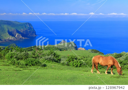 【島根県】摩天崖から見た国賀海岸（隠岐の島　西ノ島） 128967942