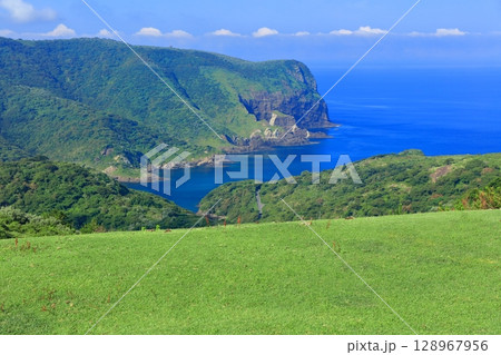 【島根県】摩天崖から見た国賀海岸（隠岐の島　西ノ島） 128967956