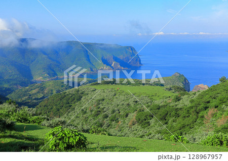【島根県】摩天崖から見た国賀海岸（隠岐の島　西ノ島） 128967957
