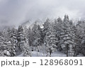 雪に覆われた針葉樹林 128968091