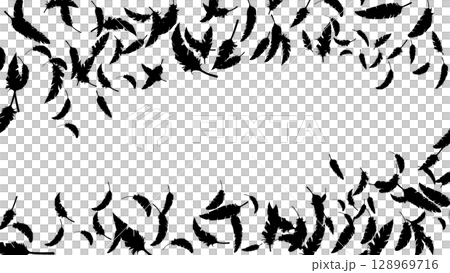 黑鳥的羽毛飄動（16:9）1 128969716