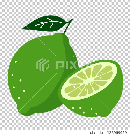 Hand drawn illustration of lime with leaves and slices Hand drawn illustration of lime with leaves and slices 128969959