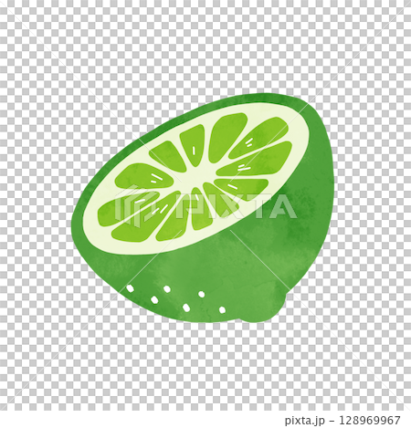 Simple and refreshing watercolor illustration of a lime cut in half 128969967