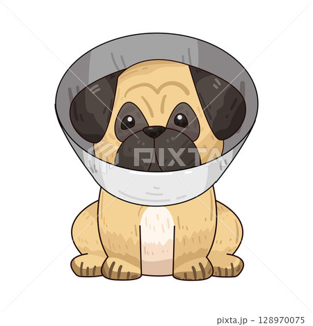 illustration of dog with neck cone 128970075