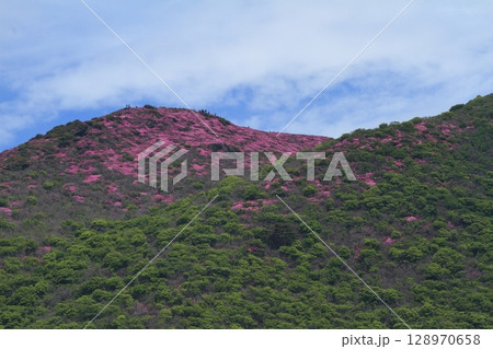 初夏の平治岳のピンク色に彩られた山頂の風景 128970658