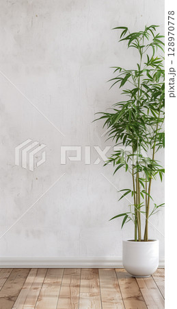 Close-up shot of a clean white wall with a potted bamboo plant Close-up shot of a clean white wall with a potted bamboo plant 128970778