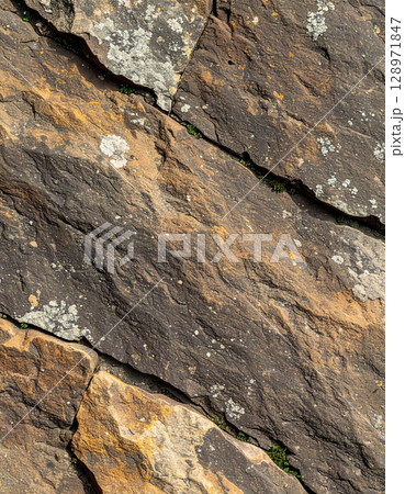 Closeup of Multicolored Rock Texture with Cracks and Lichen in Neutral Lighting 128971847