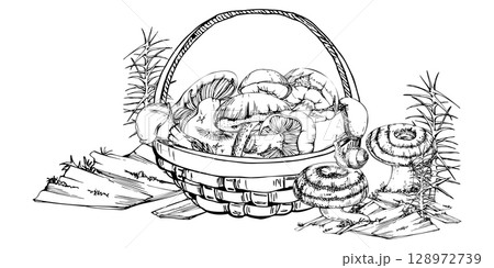Basket full of picked mushrooms, horsetail plant on bark with moss lichen growth, autumn forest harvest of bolete russula webcap milk-cap fungi. Autumn forest illustration hand drawn in vector ink. Basket full of picked mushrooms, horsetail plant on bark with moss lichen growth, autumn forest harvest of bolete russula webcap milk-cap fungi. Autumn forest illustration hand drawn in vector ink. 128972739