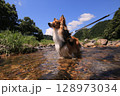 犬と川 128973034