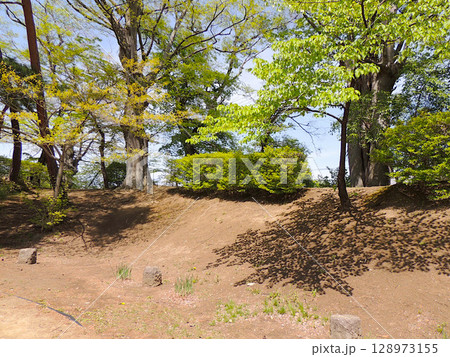 伴野城跡 土塁 伴野城跡 土塁 128973155