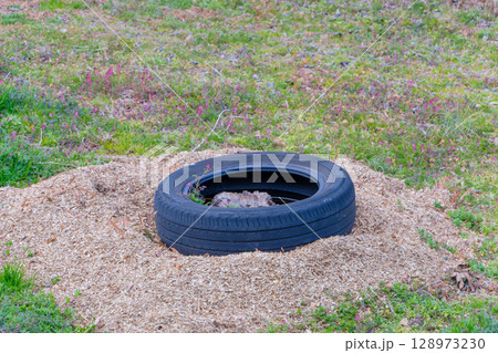 草地にぽつんと置かれた黒いタイヤ 草地にぽつんと置かれた黒いタイヤ 128973230
