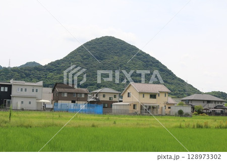 高松市の田園 128973302