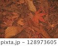 地面に落ちた紅葉 128973605