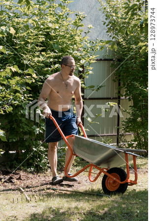 Shirtless Man Pushing Wheelbarrow in Garden with Green Bushes, Fence, and Lawn, Daytime Outdoor Scene, Natural Lighting, Summer Chore. Shirtless Man Pushing Wheelbarrow in Garden with Green Bushes, Fence, and Lawn, Daytime Outdoor Scene, Natural Lighting, Summer Chore. 128973744