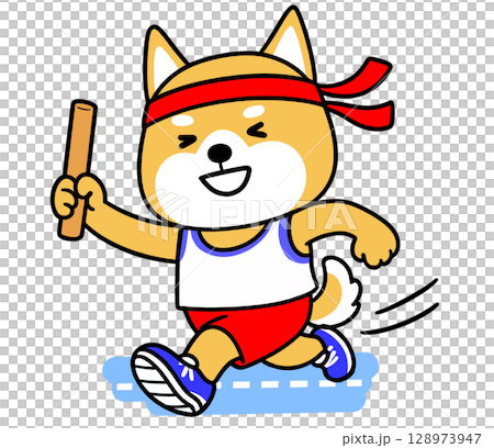 Shiba Inu holding a baton in a relay at a sports day 128973947