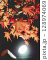 夜の紅葉 128974069