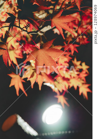 夜の紅葉 128974069