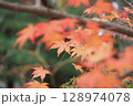 真っ赤な紅葉 128974078