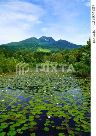夏のいもり池から眺めた妙高山 128974887