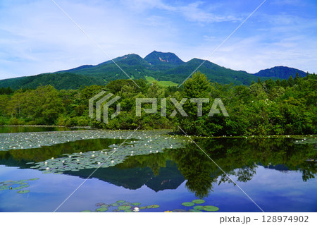 夏のいもり池から眺めた妙高山 128974902