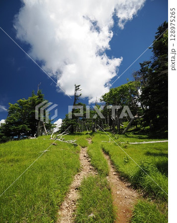 光岳、聖岳 光岳、聖岳 128975265