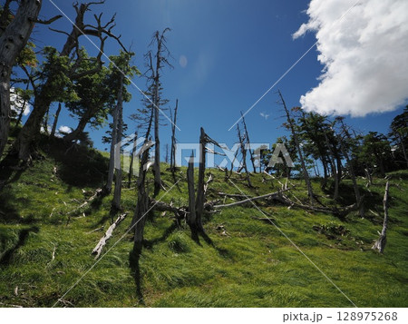 光岳、聖岳 128975268