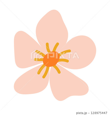 A Beautiful and Cute Pink Flower Illustration Featuring a Bright Orange Center Design A Beautiful and Cute Pink Flower Illustration Featuring a Bright Orange Center Design 128975447