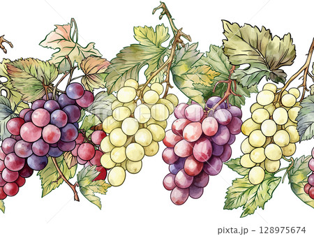 Seamless vector pattern with ripe grape 128975674