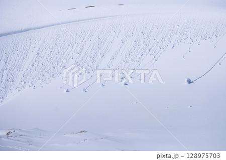 鳥取砂丘の雪景色  128975703