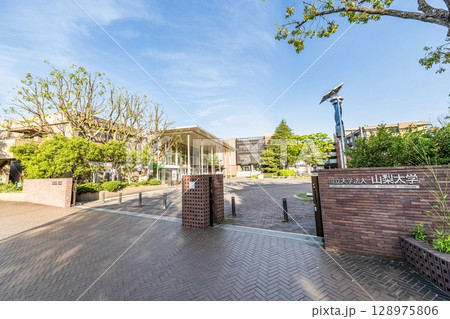 山梨県甲府市　快晴の山梨大学甲府キャンパス 128975806