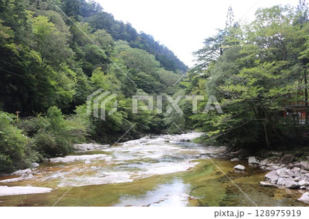 愛媛県　面河渓 128975919