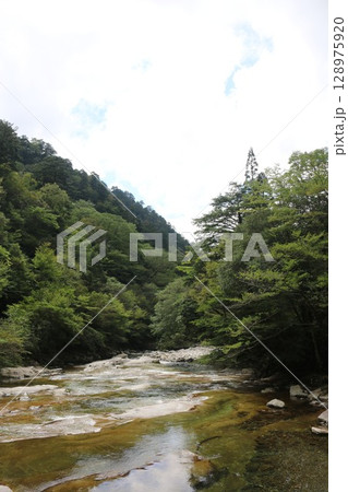 愛媛県　面河渓 128975920