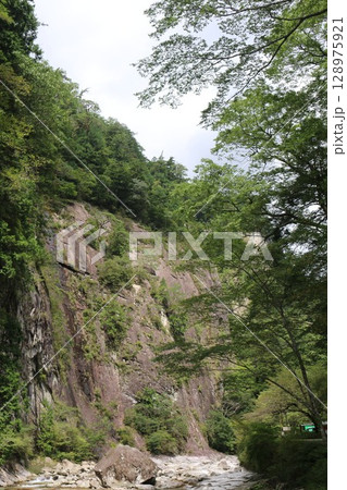 愛媛県　面河渓 128975921