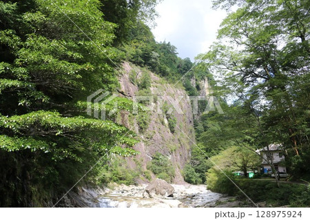 愛媛県　面河渓 128975924