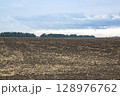 Harvested sunflower field under a moody sky, with dry stalks scattered across dark soil . 128976762