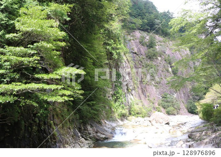 愛媛県　面河渓 128976896