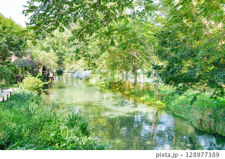 ＜安曇野＞大王わさび農場の水車と美しい小川の絶景 128977389