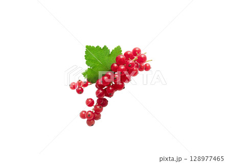 Fresh Red currant berry isolated on white background. 128977465