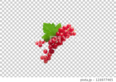 Fresh Red currant berry isolated on white background. 128977465