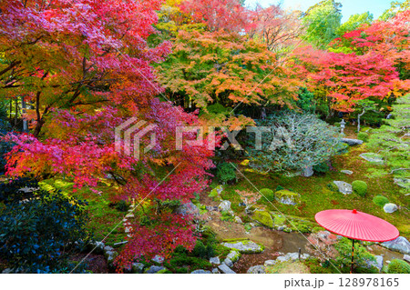 真っ赤な紅葉の旧竹林院 128978165