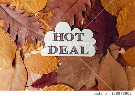 Pile of autumn leaves with the word HOT DEAL written on it Pile of autumn leaves with the word HOT DEAL written on it 128978908