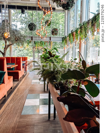 Restaurant with a lot of plants and a lot of seating Restaurant with a lot of plants and a lot of seating 128979246