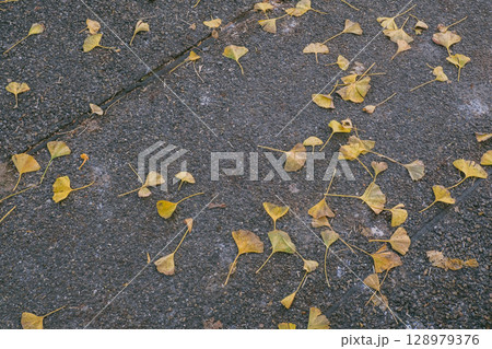 Pile of leaves on a sidewalk Pile of leaves on a sidewalk 128979376