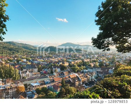 A city view with a blue sky and a tree in the foreground A city view with a blue sky and a tree in the foreground 128979853