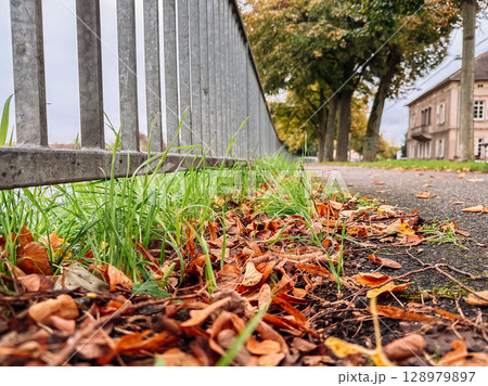 Fence with a lot of leaves on the ground 128979897