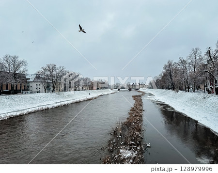 A bird flies over a river with snow on the trees 128979996