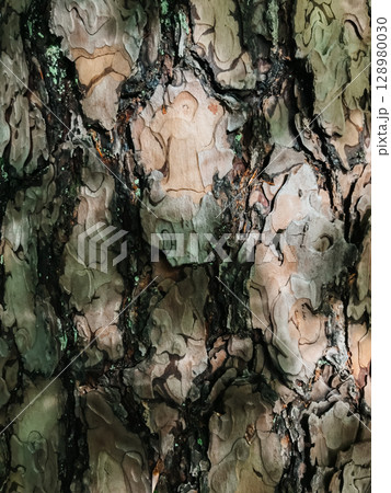 The bark of a tree is rough and has a lot of texture 128980030