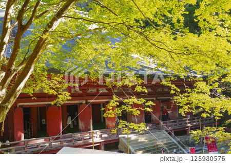 比叡山延暦寺西塔 釈迦堂の全景 128980576