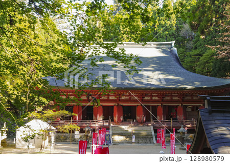 比叡山延暦寺西塔 釈迦堂の全景 比叡山延暦寺西塔 釈迦堂の全景 128980579