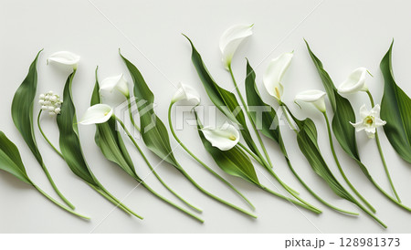 Stunning bouquet of calla lily flowers on white background 128981373